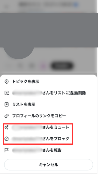 ミュートとブロック設定-2